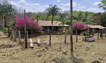 Imagem 2: Vendo fazenda de 17.5 Alqueires em Padre Bernardo Goiás próximo de Brasília DF