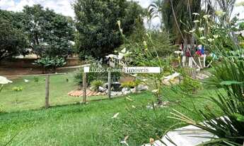 Imagem 3: Excelente chácara com 4 casas e piscina