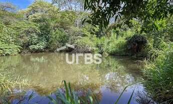 Imagem 2: Chácara Rica em Água e com localização Privilegiada - Sítios Recreio Ipê