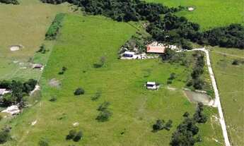 Imagem 4: Vendo Sítio com cachoeira em Alexânia