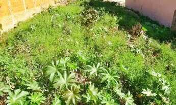 Imagem 3: TERRENO - JARDIM RECANTO DOS PÁSSAROS II - SP