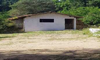 Imagem 5: Sítio com 2 dormitórios à venda, 16600 m² por R$ 3.200.000,00 - Jardim Paraíso II - Itu/SP