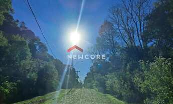 Imagem 3: Lote em Avenida Ximangos - Colinas - São Francisco de Paula/RS