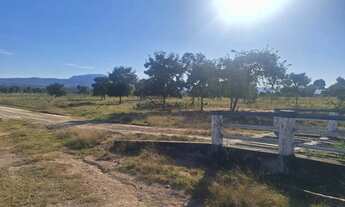 Imagem 4: VENDO!!! Uma fazenda com 630 alqueires (1.512 hectares) na região da cidade do P