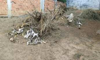 Imagem 3: Lote em Rua Sanhaço - Laranjeiras - Caieiras/SP