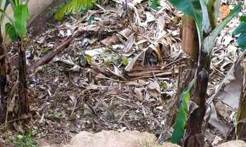 Imagem 4: Lote em Rua Sanhaço - Laranjeiras - Caieiras/SP