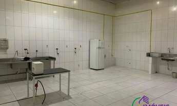 Imagem 5: CONJ. COMERCIAL - JARDIM MARIA LUIZA - SP