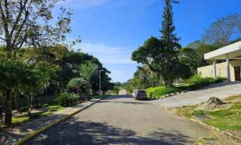 Imagem 6: Terreno à venda, 3333 m² por R$ 1.550.000,00 - Ratones - Florianópolis/SC