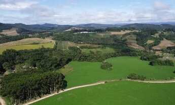 Imagem 4: Terreno Rural com 104.000m², água mineral e natureza em Bateias!