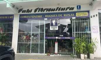 Imagem: Fabi Floricultura à Venda - 34 Anos - Negócio