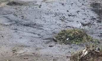 Imagem 3: ALUGA-SE GALPÃO NA PRAÇA DE RICARDO