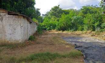 Imagem 3: Terreno amplo em VG próximo a Havan da Av da Feb