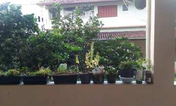 Imagem 3: Alugo casa em Santa Teresa