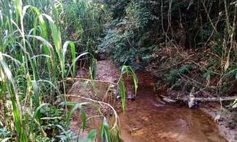 Imagem 3: Super terreno rico em água apenas 600 MTS do asfalto e ponto de ônibus