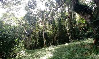 Imagem 6: Super terreno rico em água apenas 600 MTS do asfalto e ponto de ônibus