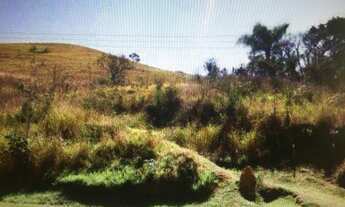 Imagem 6: Fazenda - 100 alqueires - Pasto Braquiara, Pedreira, água (rio Paraíba