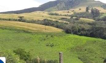 Imagem 5: Fazenda a Venda Área de 60 Alqueires Município de Reserva