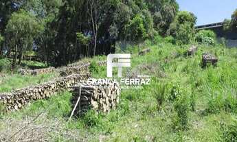 Imagem 5: Terreno, Colombo