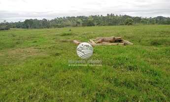 Imagem 3: Ariquemes - Sítio - 42 Alqueires