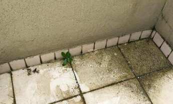 Imagem 5: Apartamento com 2 dormitórios à venda, 67 m² por R$ 850.000 - Barra da Tijuca - Rio de Jan