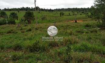 Imagem 7: Machadinho D'Oeste - Sítio - Machadinho D'Oeste