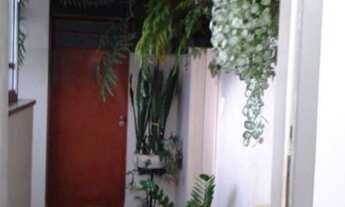 Imagem 4: SãO PAULO - Padrão - Campos Elíseos