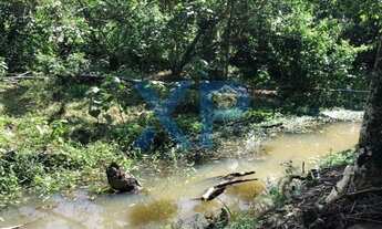 Imagem 3: FAZENDA RURAL A VENDA NO MUNICÍPIO DE SÃO GONÇALO DO PARÁ-MG