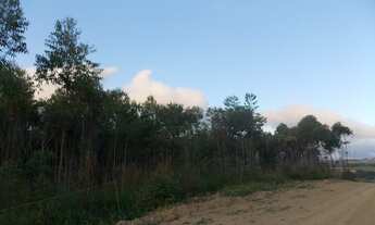 Imagem 2: 1000m² por apenas R$45.000,00