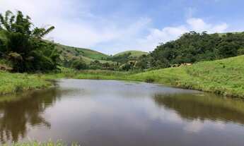 Imagem: LINDA ÁREA COM NASCENTE E LAGO A VENDA