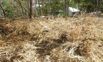 Imagem 7: Terreno à venda, 465 m² por R$ 100.000 - Engenho do Mato - Niterói/RJ