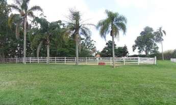 Imagem 2: Lindo Sítio com 7 Hectares em São Miguel Arcanjo