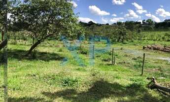 Imagem 7: FAZENDA RURAL A VENDA NO MUNICÍPIO DE SÃO GONÇALO DO PARÁ-MG