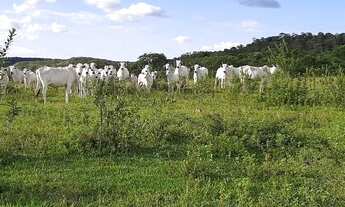 Imagem 2: Belíssima Fazenda Unaí !!! 4.000.000 !!!