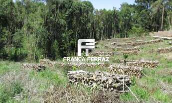 Imagem 3: Terreno, Colombo