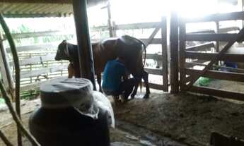 Imagem 5: !!! 2.800.000 !!!