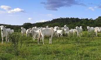 Imagem 3: Belíssima Fazenda Unaí !!! 4.000.000 !!!