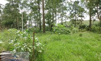 Imagem 6: Loteamento para Venda em Santo André, Recreio da Borda do Campo