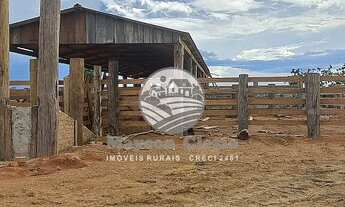 Imagem 5: Machadinho D'Oeste - Fazenda - Machadinho D'Oeste