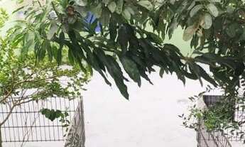 Imagem 3: Casa térrea para venda possui 100 metros quadrados com 3 quartos