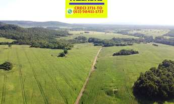 Imagem 5: Fazenda Porto Nacional em Lavoura