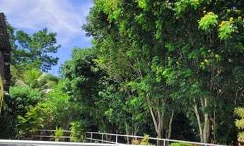 Imagem 3: Sítio margens afluente do Tarumã Rua do Riacho Tarumã Açu