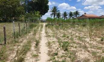 Imagem 3: Terreno pov. Brejo( Andre Luiz