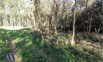 Imagem: Terreno Rural para Venda em Campo Largo
