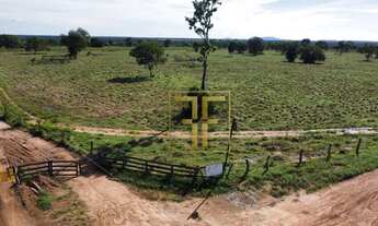 Imagem 7: Fazenda 82 Alqueires, Jaú do Tocantins, TO