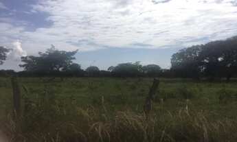 Imagem 5: Terreno no bairro Área Alfa (Santa Maria