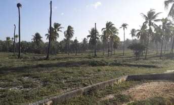 Imagem 6: Área frontal em Conde, 30.000 m²