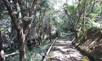 Imagem 3: Reserva do Peroba - 5.300 m² - Rústica! + hóspedes, gourmet, mto jardim!