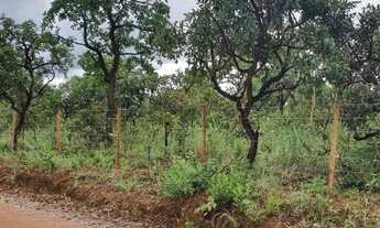 Imagem 5: Cajado imóveis vende uma chácara no Núcleo Rural Bonsucesso