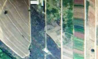 Imagem 3: área - Bonfim - Paulínia