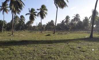 Imagem 5: Área frontal em Conde, 30.000 m²